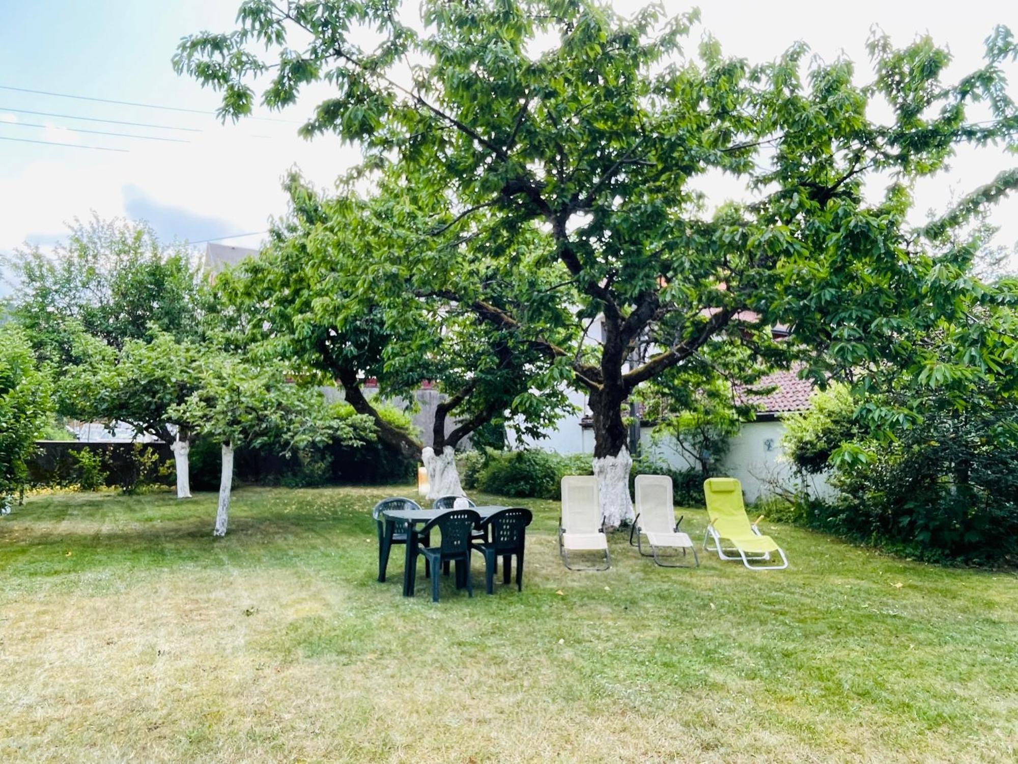 Apartamento L'Ecureuil Gérardmer Exterior foto